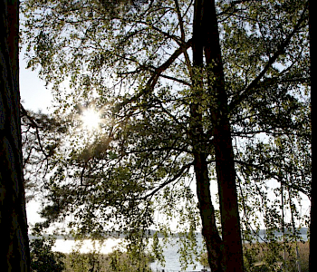 Leppälä sijaitsee kuvankauniissa Ruissalossa meren rannalla.